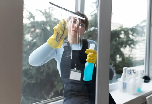 Nettoyage de vitres intérieures et extérieures à Dizy-le-Gros
